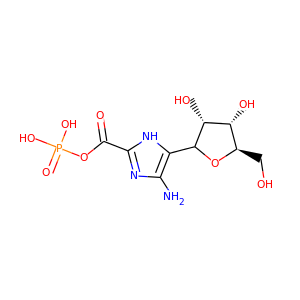 phosphoribosyl aminoimidazole carboxylic acid